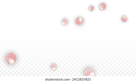Pink Vector Realistic Petals Falling on Transparent Background.  Spring Romantic Flowers Illustration. Flying Petals. Sakura Spa Design. Blossom Confetti. Design Elements for  St. Valentine Day.