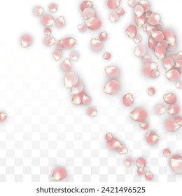 Pétalos realistas del vector rosado caen sobre fondo transparente.  Ilustración de flores románticas primaverales. Pétalos voladores. Diseño del Spa Sakura. Blossom Confetti. Diseñar elementos para el Día de la Madre.