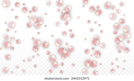 Rosa Vektor realistische Blütenblätter fallen auf transparenten Hintergrund.  In: Spring Romantic Flowers Illustration. Fliegende Blätter. In: Sakura Spa Design. Konfetti der Blüte. Designelemente für Banner Design.
