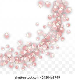 Pink Vector Realistic Petals Falling on Transparent Background.  Spring Romantic Flowers Illustration. Flying Petals. Sakura Spa Design. Blossom Confetti. Design Elements for  Poster Design. 
