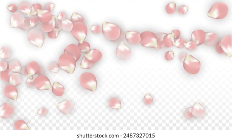 Pink Vector Realistic Petals Falling on Transparent Background.  Spring Romantic Flowers Illustration. Flying Petals. Sakura Spa Design. Blossom Confetti. Design Elements for  St. Valentine Day.