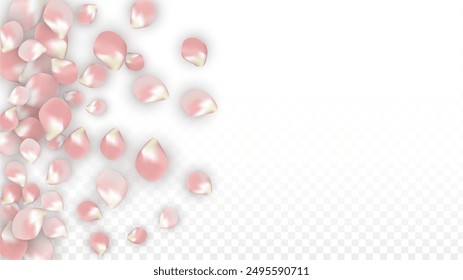 Pink Vector Realistic Petals Falling on Transparent Background.  Spring Romantic Flowers Illustration. Flying Petals. Sakura Spa Design. Blossom Confetti. Design Elements for  8 March Card.