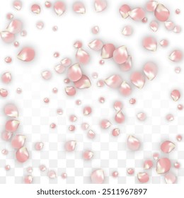 Pink Vector Realistic Petals Falling on Transparent Background.  Spring Romantic Flowers Illustration. Flying Petals. Sakura Spa Design. Blossom Confetti. Design Elements for  Mother's Day.