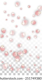 Pink Vector Realistic Petals Falling on Transparent Background.  Spring Romantic Flowers Illustration. Flying Petals. Sakura Spa Design. Blossom Confetti. Design Elements for  8 March Card.