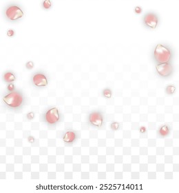 Pétalos realistas del Vector rosado que caen en fondo transparente.  Ilustración de flores románticas de primavera. Pétalos voladores. Diseño de Spa Sakura. Confeti de flor. Elementos de diseño para el diseño de carteles. 