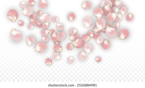 Pink Vetor Pétalas Realistas Caindo em Fundo Transparente.  Ilustração de flores românticas de primavera. Pétalas Voadoras. Sakura Spa Design. Blossom Confetti. Elementos de design para 8 março Cartão.