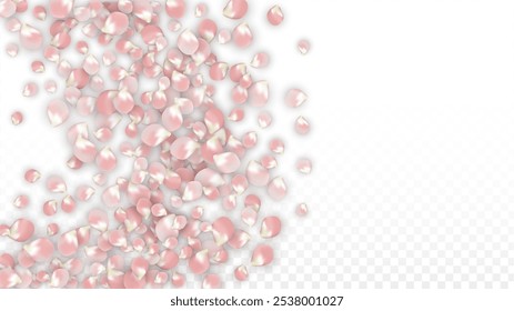 Pink Vector Realistic Petals Falling on Transparent Background.  Spring Romantic Flowers Illustration. Flying Petals. Sakura Spa Design. Blossom Confetti. Design Elements for  St. Valentine Day.