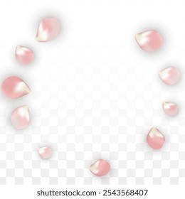 Pink Vector Realistic Petals Falling on Transparent Background.  Spring Romantic Flowers Illustration. Flying Petals. Sakura Spa Design. Blossom Confetti. Design Elements for  Wedding Decoration.