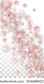 Pink Vector Realistic Petals Falling on Transparent Background.  Spring Romantic Flowers Illustration. Flying Petals. Sakura Spa Design. Blossom Confetti. Design Elements for  8 March Card.
