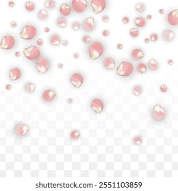 Pink Vetor Pétalas Realistas Caindo em Fundo Transparente.  Ilustração de flores românticas de primavera. Pétalas Voadoras. Sakura Spa Design. Blossom Confetti. Elementos de design para o Dia das Mães.