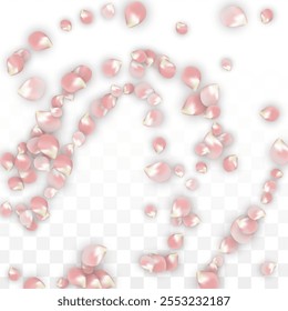 Pink Vector Realistic Petals Falling on Transparent Background.  Spring Romantic Flowers Illustration. Flying Petals. Sakura Spa Design. Blossom Confetti. Design Elements for  Banner Design.