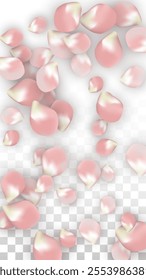 Pink Vector Realistic Petals Falling on Transparent Background.  Spring Romantic Flowers Illustration. Flying Petals. Sakura Spa Design. Blossom Confetti. Design Elements for  8 March Card.