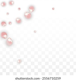 Pink Vector Realistic Petals Falling on Transparent Background.  Spring Romantic Flowers Illustration. Flying Petals. Sakura Spa Design. Blossom Confetti. Design Elements for  St. Valentine Day.