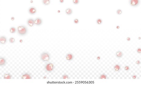 Pink Vector Realistic Petals Falling on Transparent Background.  Spring Romantic Flowers Illustration. Flying Petals. Sakura Spa Design. Blossom Confetti. Design Elements for  Wedding Decoration.