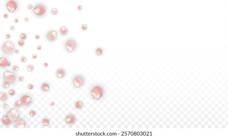 Pink Vector Realistic Petals Falling on Transparent Background.  Spring Romantic Flowers Illustration. Flying Petals. Sakura Spa Design. Blossom Confetti. Design Elements for  St. Valentine Day.