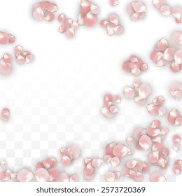 Pink Vector Realistic Petals Falling on Transparent Background.  Spring Romantic Flowers Illustration. Flying Petals. Sakura Spa Design. Blossom Confetti. Design Elements for  8 March Card.