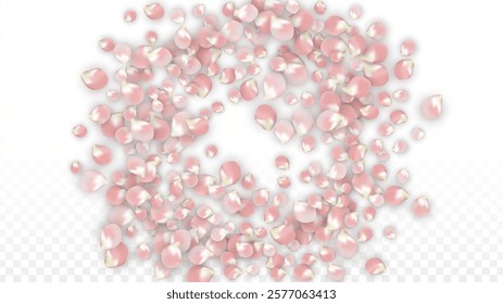 Pink Vector Realistic Petals Falling on Transparent Background.  Spring Romantic Flowers Illustration. Flying Petals. Sakura Spa Design. Blossom Confetti. Design Elements for  Poster Design. 