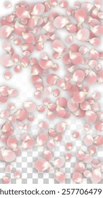 Pink Vector Realistic Petals Falling on Transparent Background.  Spring Romantic Flowers Illustration. Flying Petals. Sakura Spa Design. Blossom Confetti. Design Elements for  Card Design. 