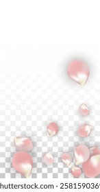 Pink Vector Realistic Petals Falling on Transparent Background.  Spring Romantic Flowers Illustration. Flying Petals. Sakura Spa Design. Blossom Confetti. Design Elements for  St. Valentine Day.