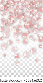 Pink Vector Realistic Petals Falling on Transparent Background.  Spring Romantic Flowers Illustration. Flying Petals. Sakura Spa Design. Blossom Confetti. Design Elements for  Banner Design.