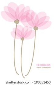 pink vector transparent flowers with place for your text isolated on white background