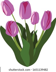 Pink vector tulip bouquet for woman's day postcard, invitation, mothers day and other spring holidays 