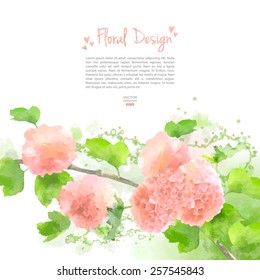 Pink Vector Watercolor Flowers Hydrangea on white background. Contemporary floral greeting card 