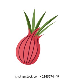 Hortalizas rosas, remolacha .aisladas en fondo blanco ,Ilustración vectorial EPS 10