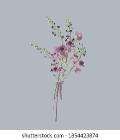 
Pink verbascum. Wildflowers. A bouquet of garden flowers. Botanical vector illustration. Floral design
