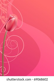 rosafarbener, vertikaler Hintergrund mit roter Tulpe