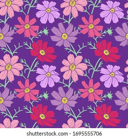 Pink and violet cosmos flowers seamless pattern on purple background
