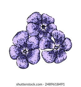 pink violet hand drawn. blue texture, light rose, garden plant pink violet vector sketch. isolated color illustration