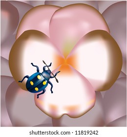 Pink violet. On a background some more. On flower the bug (with yellow spots) creeps
