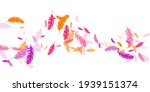 Pink violet orange feather floating vector background. Flying bird plumage illustration. Abstract fluffy soft plumage, feather floating  isolated. Macro graphic design. Bright boa hackle.