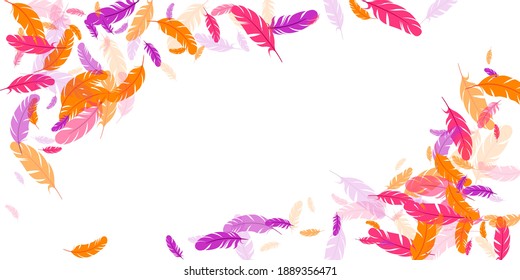 Pink violet orange feather floating vector background. Falling bird plumage illustration. Abstract fluffy soft plumage, feather floating  silhouettes. Close up graphic design. Vivid boa hackle.