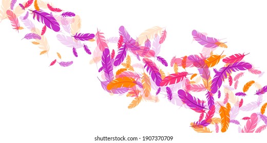 Pink violet orange feather floating vector background. Falling down bird plumage pattern. Abstract fluffy soft plumage, feather floating  silhouettes. Close up graphic design. Bright boa hackle.