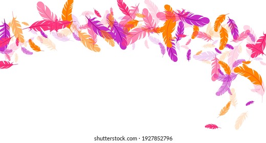 Pink violet orange feather floating vector background. Falling bird plumage illustration. Abstract fluffy soft plumage, feather floating  silhouettes. Macro graphic design. Bright boa hackle.