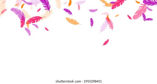 Pink violet orange feather floating vector background. Falling down bird plumage pattern. Lightweight soft plumage, feather floating  silhouettes. Close up graphic design. Bright boa hackle.