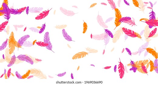 Pink violet orange feather floating vector background. Flying bird plumage illustration. Weightless soft plumage, feather floating silhouettes. Macro graphic design. Airy boa hackle.