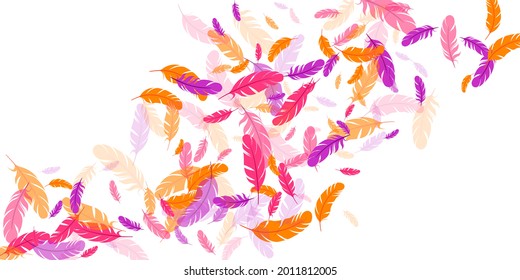 Pink violet orange feather floating vector background. Falling bird plumage illustration. Lightweight soft plumage, feather floating  silhouettes. Macro graphic design. Bright boa hackle.