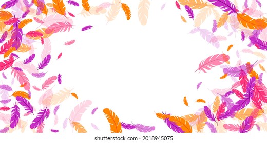 Pink violet orange feather floating vector background. Flying bird plumage illustration. Lightweight soft plumage, feather floating  isolated. Close up graphic design. Bright boa hackle.