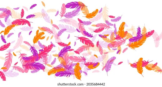 Pink violet orange feather floating vector background. Falling down bird plumage pattern. Lightweight soft plumage, feather floating  isolated. Close up graphic design. Vivid boa hackle.