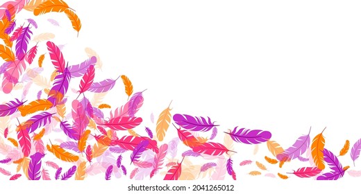 Pink violet orange feather floating vector background. Flying bird plumage pattern. Colorful fluffy soft plumage, feather floating  silhouettes. Close up graphic design. Bright boa hackle.