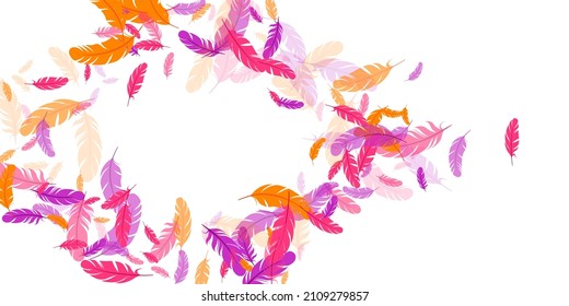 Fondo vectorial flotante de plumas color naranja violeta rosa. Ilustración del desplome de pájaros en caída. Colorido y esponjoso plumaje suave, plumas flotando aislado. Diseño gráfico de macros. Hackle boa brillante.