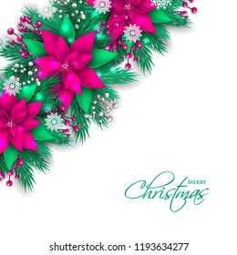 Pink violet Poinsettia Christmas party invitation vector template greeting card with pine and fir branches blue berry wreath in the snowflake, lights