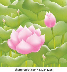 Pink water lilies lotus flower or water lilies background