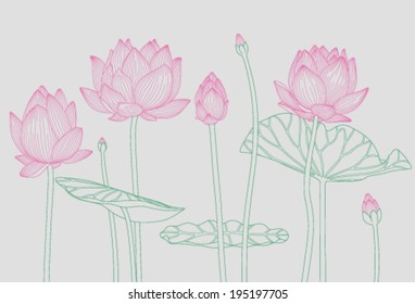 pink water lilies on a light gray background 