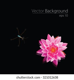 Pink water Lilly with gerridae vector eps10 vector eps10