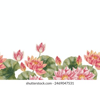Pink Water Lily Watercolor Flower Background