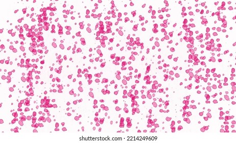 Pink watercolor background for textures backgrounds and web banners design
